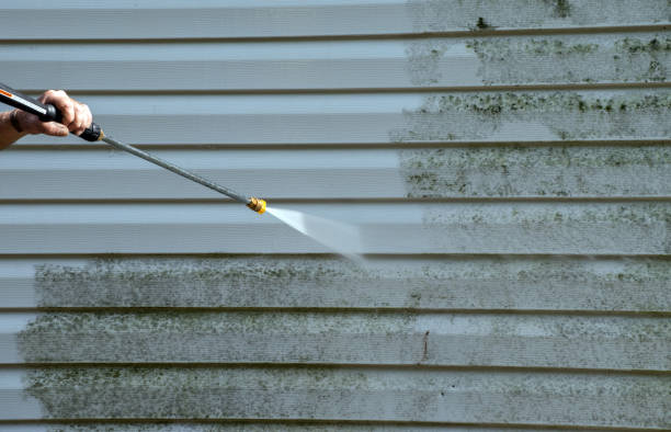 Best Roof Pressure Washing  in Eugene, OR