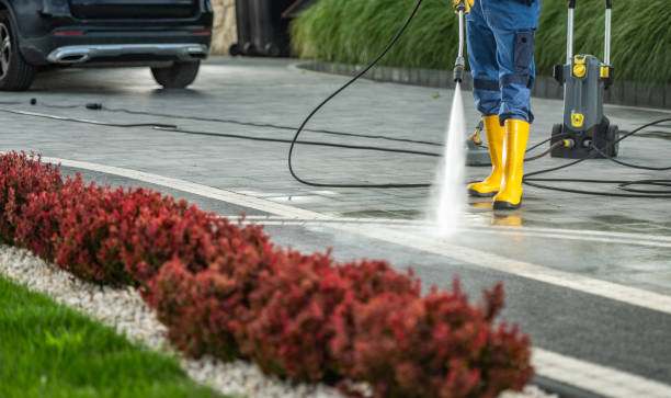 Local Pressure Washing Services in Eugene, OR